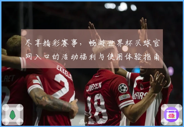 尽享精彩赛事，畅游世界杯买球官网入口的活动福利与使用体验指南