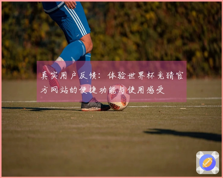 真实用户反馈：体验世界杯竞猜官方网站的便捷功能与使用感受