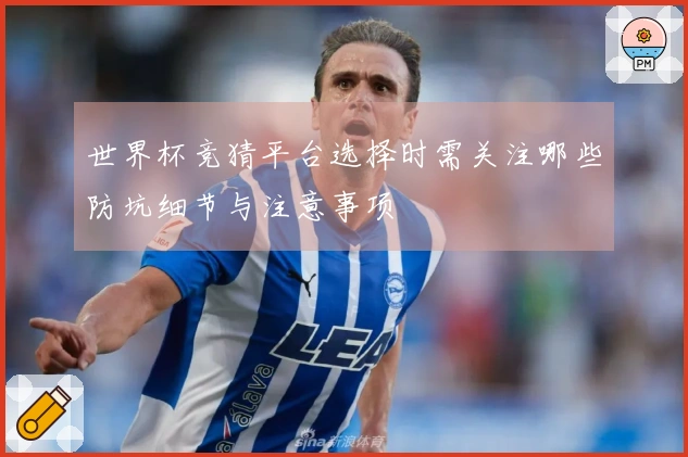 世界杯竞猜平台选择时需关注哪些防坑细节与注意事项