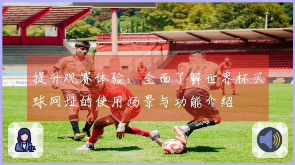 提升观赛体验，全面了解世界杯买球网址的使用场景与功能介绍