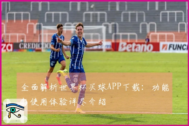 全面解析世界杯买球APP下载：功能与使用体验详尽介绍