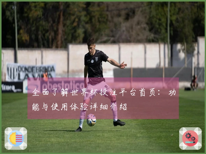 全面了解世界杯投注平台首页：功能与使用体验详细介绍