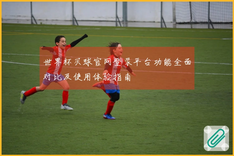 世界杯买球官网登录平台功能全面对比及使用体验指南