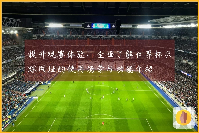 提升观赛体验，全面了解世界杯买球网址的使用场景与功能介绍