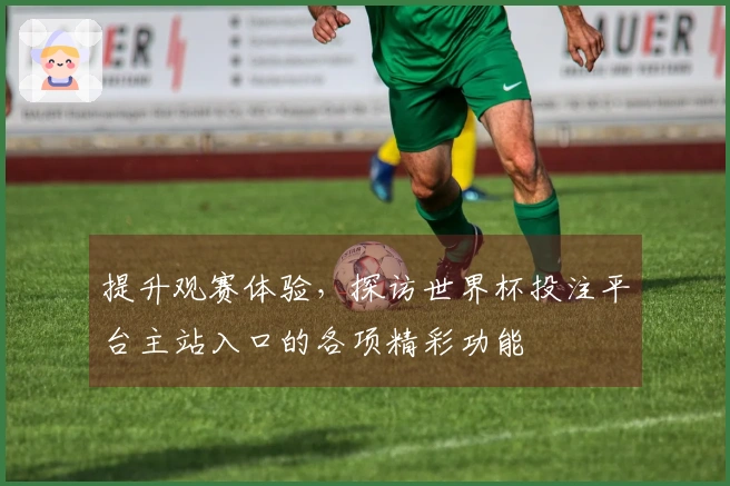 提升观赛体验，探访世界杯投注平台主站入口的各项精彩功能