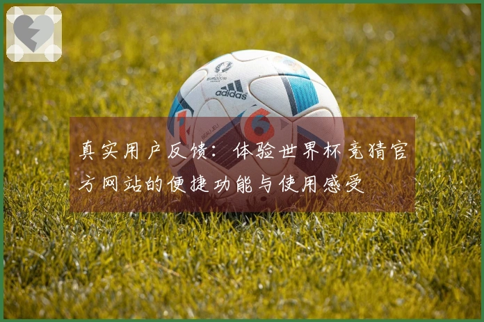 真实用户反馈：体验世界杯竞猜官方网站的便捷功能与使用感受
