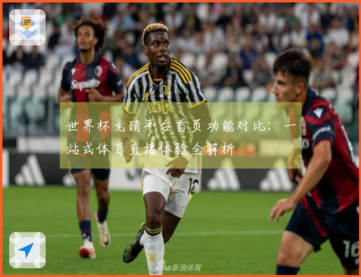 世界杯竞猜平台首页功能对比：一站式体育直播体验全解析