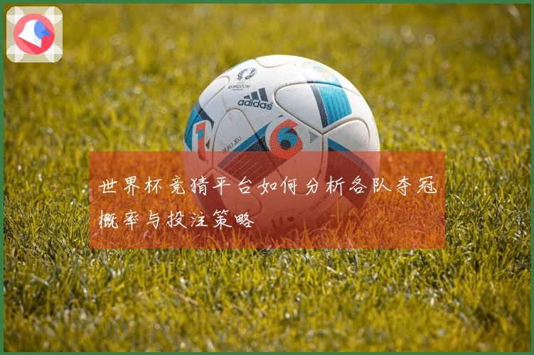 世界杯竞猜平台如何分析各队夺冠概率与投注策略