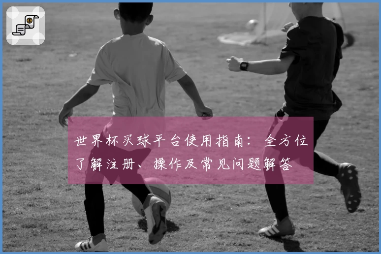 世界杯买球平台使用指南：全方位了解注册、操作及常见问题解答