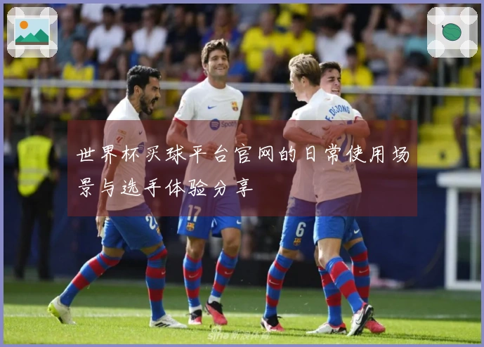 世界杯买球平台官网的日常使用场景与选手体验分享