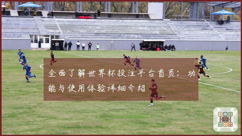 全面了解世界杯投注平台首页：功能与使用体验详细介绍