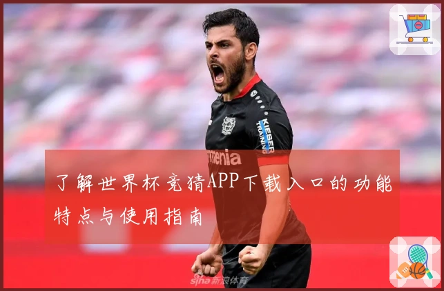 了解世界杯竞猜APP下载入口的功能特点与使用指南